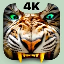 Kaplan 4K Duvar Live