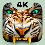 Kaplan 4K Duvar Live