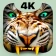 Kaplan 4K Duvar Live