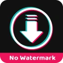 ssstiktok: TT Video Downloader