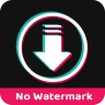 ssstiktok: TT Video Downloader