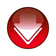 Video Downloader Pro