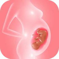 Track pregnancy & baby growth