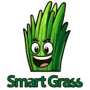 Smart Grass: Asystent trawnika