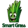 Smart Grass: Asystent trawnika