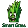 Smart Grass: Asystent trawnika