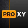 Web Proxy Browser