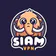 Siam VPN