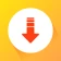 Video indirme programi, mp3