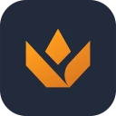 Valking.gg - Valorant Tracker
