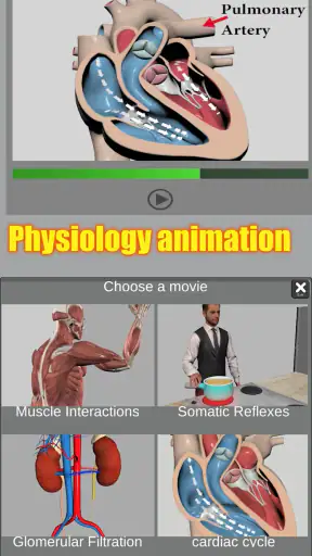 3D Anatomy