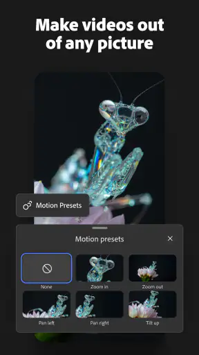 Adobe Firefly: AI Generator