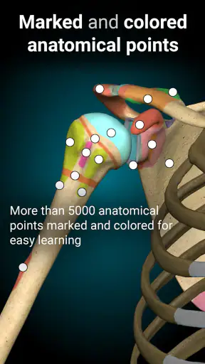 Anatomy Learning - 3D Anatomy