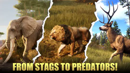 Animal Hunter : Wild Sniper