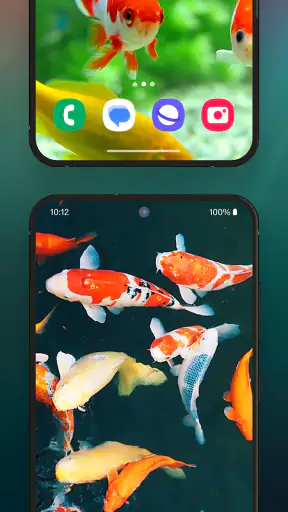 3D Aquarium Live Wallpaper