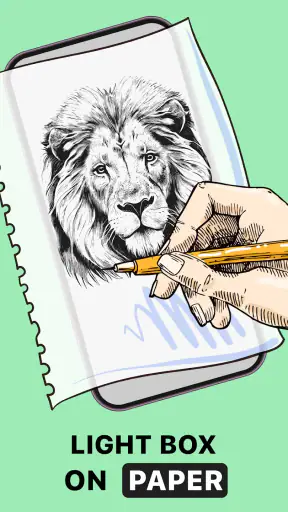 Trace Drawing: How To Draw