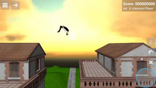 Backflip Madness