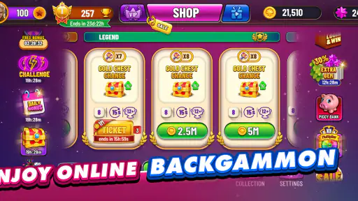 Backgammon Plus - Board Game