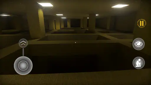 Backrooms: Lost in Level 0
