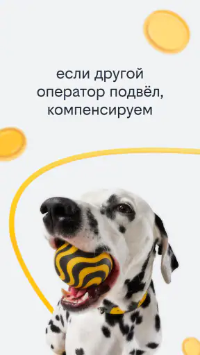 beeline