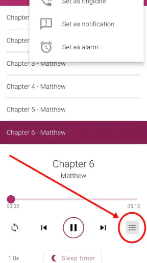 Bible NIV - Audio Bible App