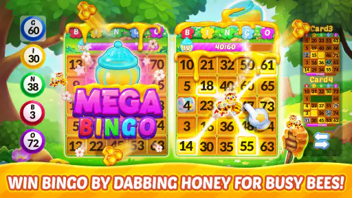 Bingo Aloha-Bingo Live at home