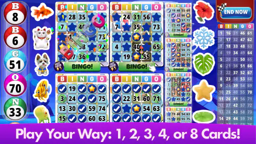 Bingo Classic - Bingo Games