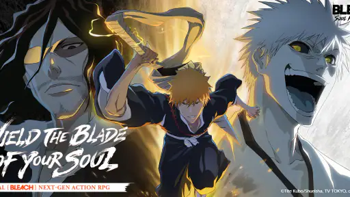 BLEACH: Soul Resonance