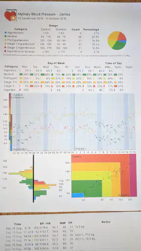 Blood Pressure Log - MyDiary