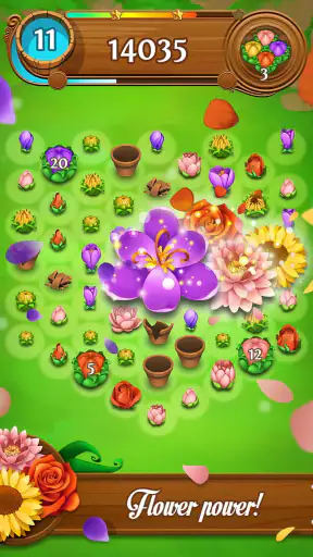 Blossom Blast Saga