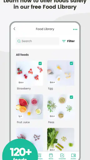 BLW Meals: Starting Solids
