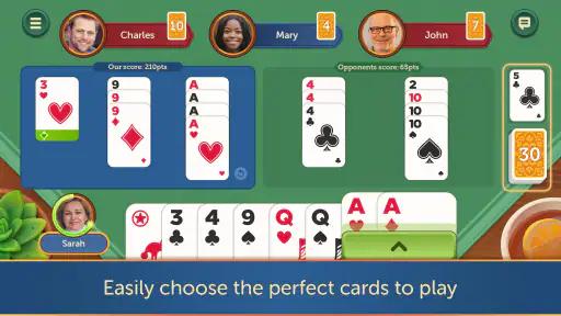 Canasta - Fun & Friends