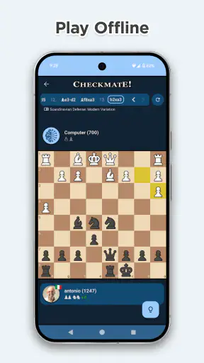 Chess Online & Offline