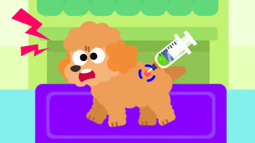 Cocobi Animal Hospital -Doctor