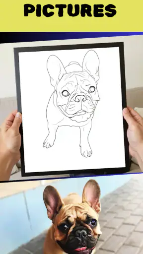 Colorify: Coloring Book Maker