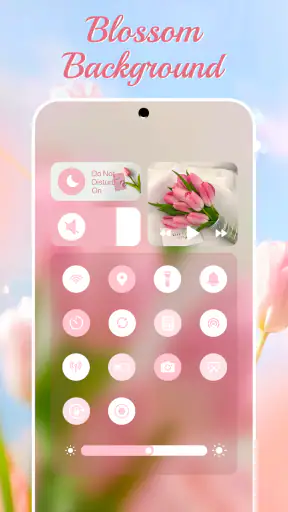 Control Widget - Themed Panels
