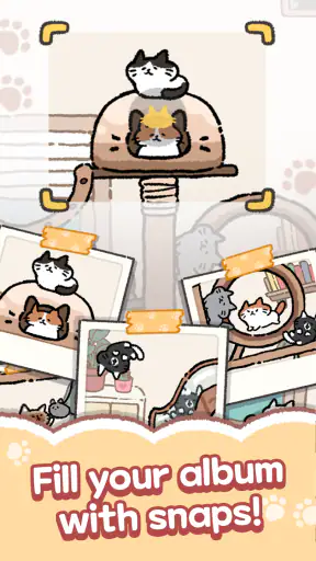Cozy Cat Tree