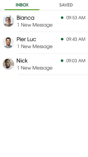 Cricket Visual Voicemail