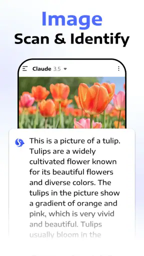 Deep Think - AI Seek Chatbot
