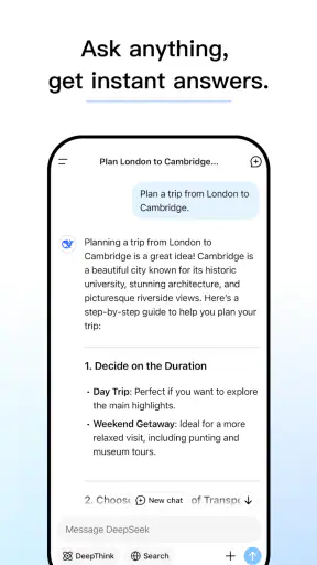 DeepSeek - AI Assistant