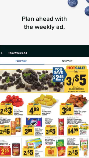 Food Lion