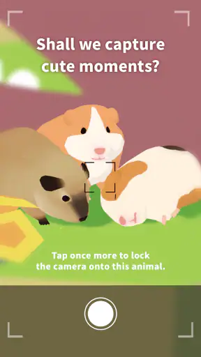 Forest Island: Relaxing Game