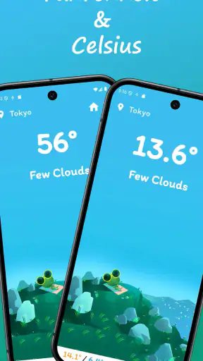 Froggy Weather