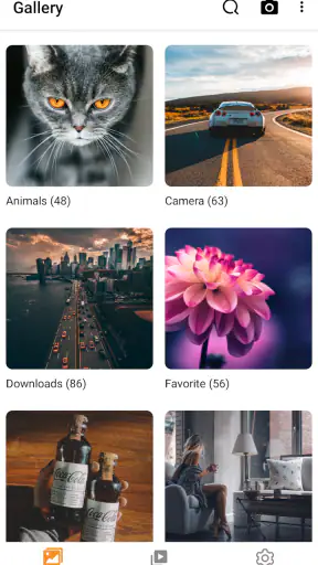 Galleryit - Photo Vault, Album