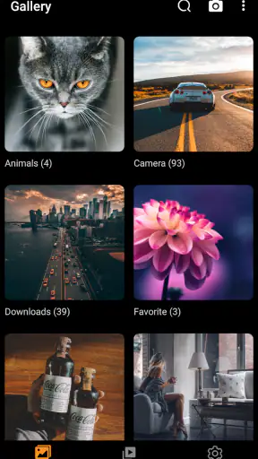 Galleryit - Photo Vault, Album