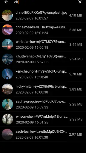 Galleryit - Photo Vault, Album