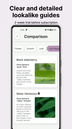 Gather: The Foraging App