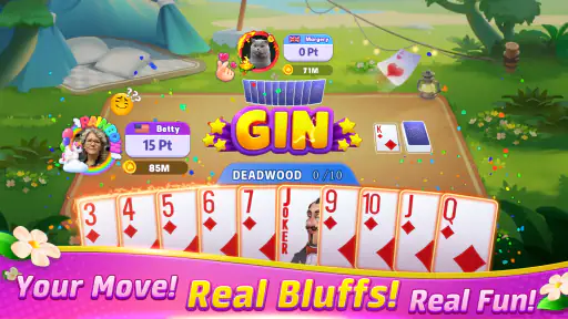 Gin Rummy Frenzy - Card Game