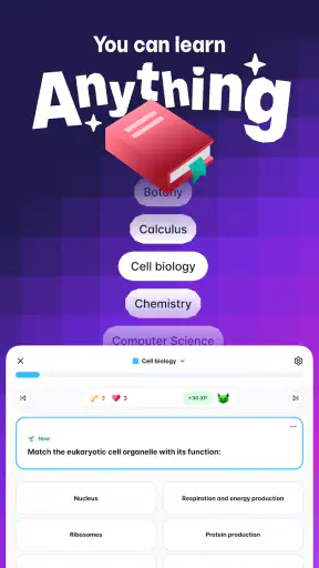 Gizmo: AI Flashcards and Tutor