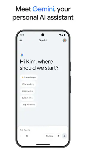 Google Gemini